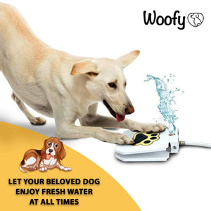 Woofy Water Dog Fountain