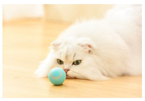 Interactive SmartRollz™ Training Toy for Cats - FREE Shipping