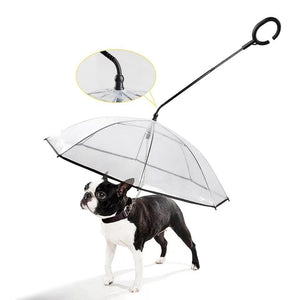 Doggy Stay Dry ™ - FREE Shipping Today Only!
