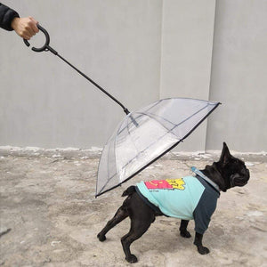 Doggy Stay Dry ™ - FREE Shipping Today Only!